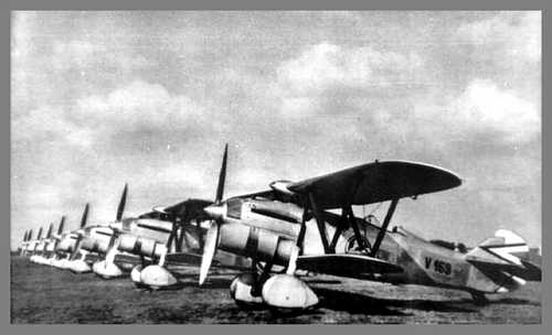 Fiat CR-32 Squadron in Hungarian Service
