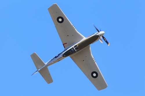 CAC Mustang