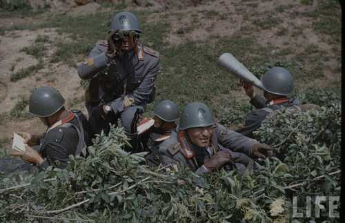 Italian Military exercise 