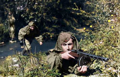 Reconnaissance operation in the area of Sinyavino 