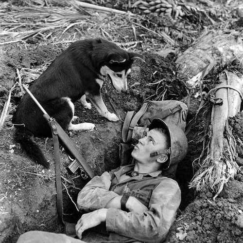 Master and his War Dog