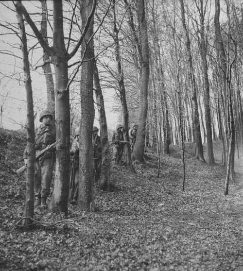 Taking cover behind trees