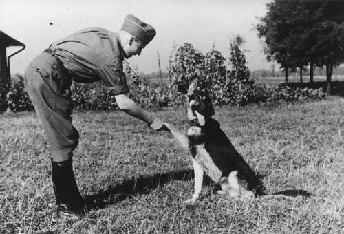 SS-Obersturmfuhrer Karl Hocker and Favorit