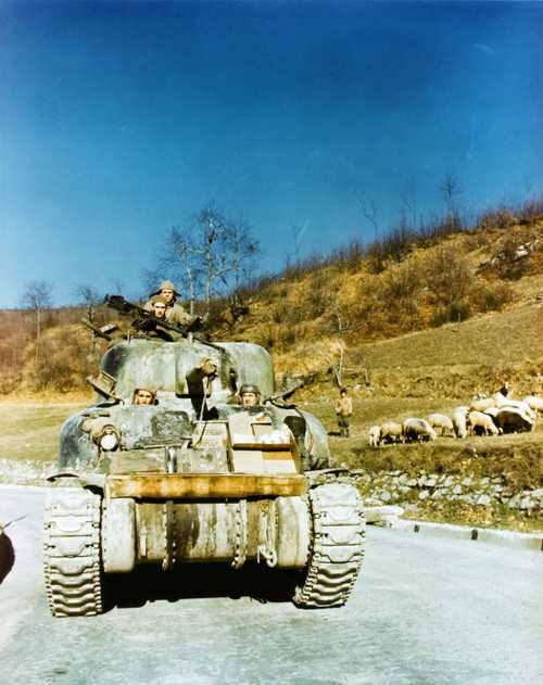 Tank