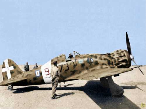 Macchi MC.200 (col.)
