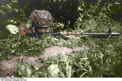 Concealed Fallschirmjaeger (col.)