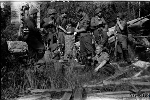 Estonian volunteers