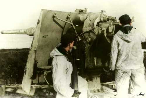Flak