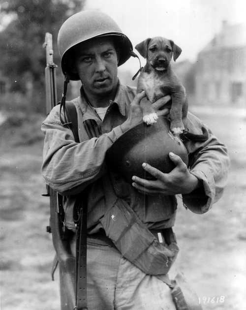 Soldier with Dog