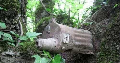 Trees of war