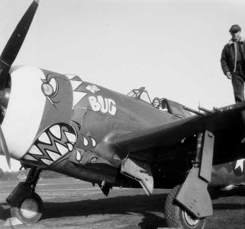 P-47D “The Bug”