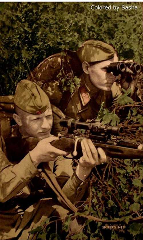 Snipers nest
