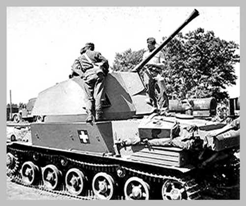 Hungarian Nimrod AA Gun