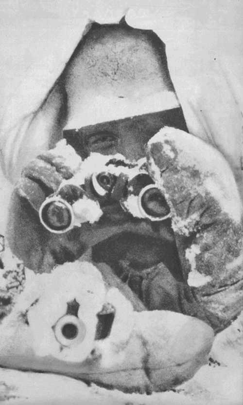 Moscow Winter, 1941