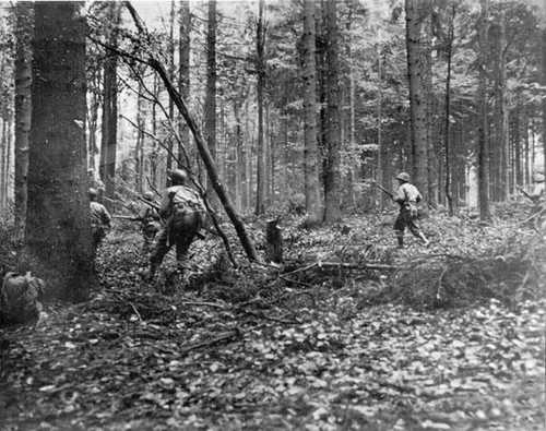 Company E, 110th Infantry,Hurtgen Forest