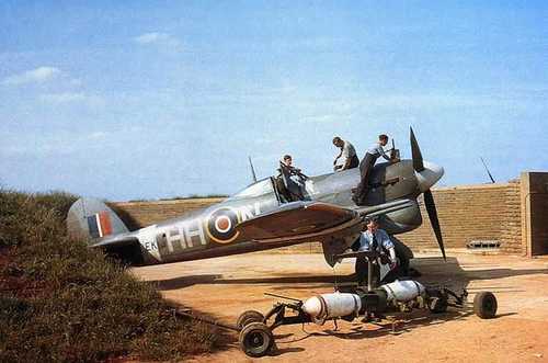 Typhoon of 175 Squadron