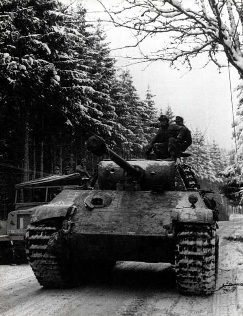Panther on the prowl