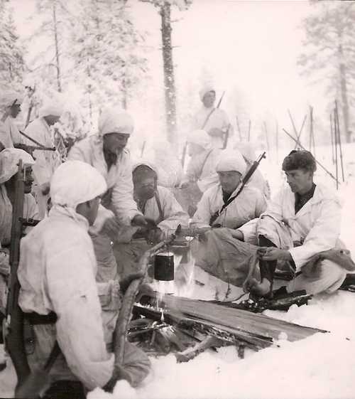 Ski troops