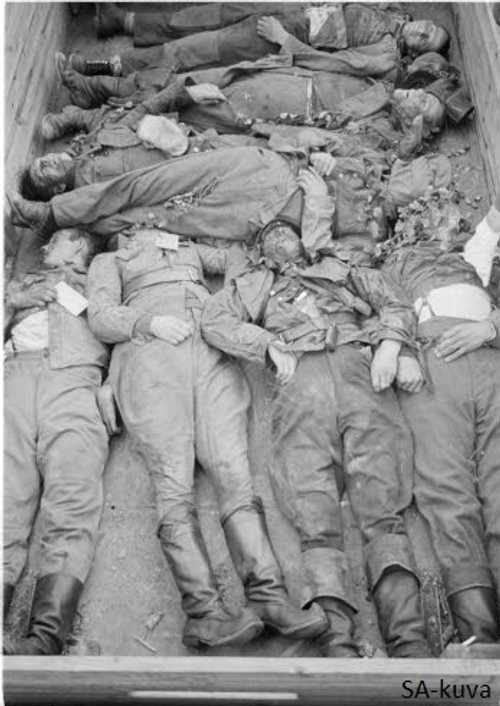 Fallen Finnish soldiers