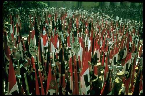A Sea of Swastikas