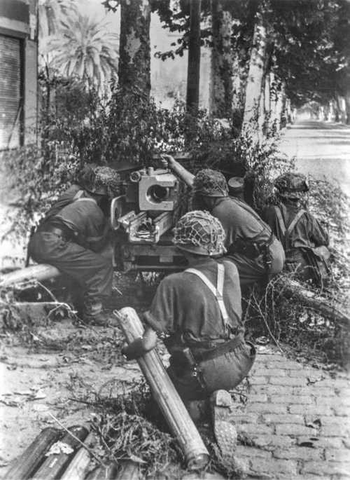 Camouflaged anti-tank gun