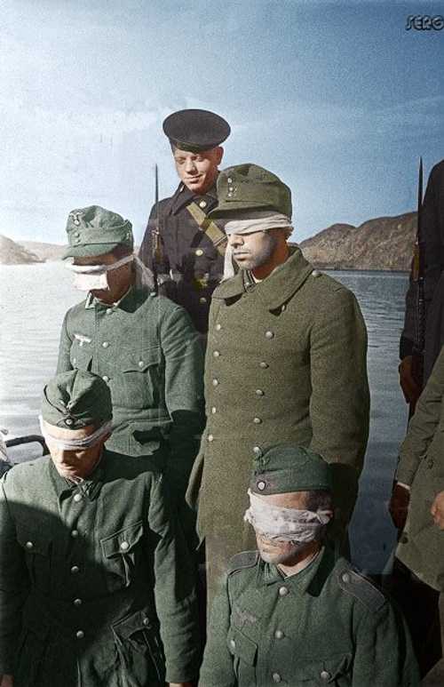 The Crimea