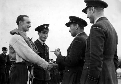 Division 317 ‘Wileński’ 