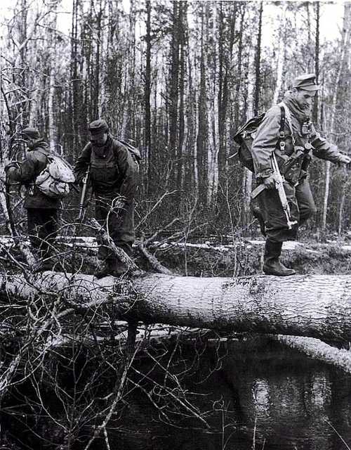 Over downed tree trunk