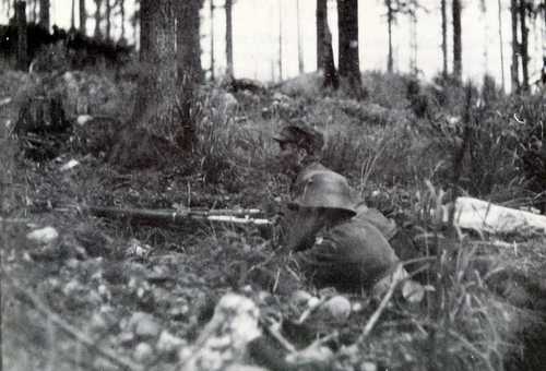Kollaa