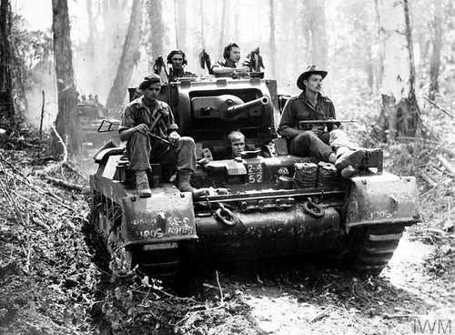 Ride in a jungle road