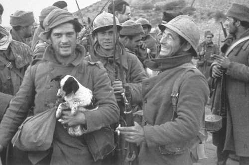 Literature at war
