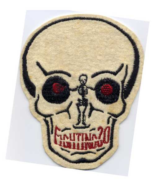 U.S. Navy VF-20 Fighter Squadron Patch