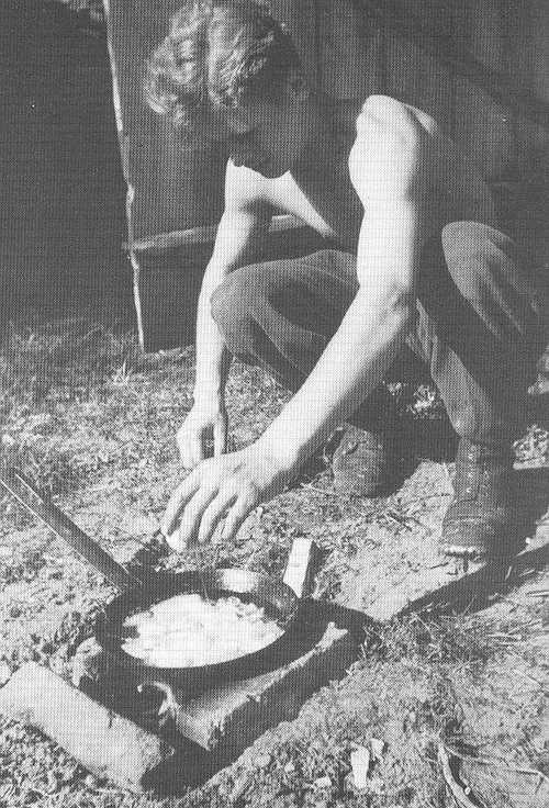Field eggs