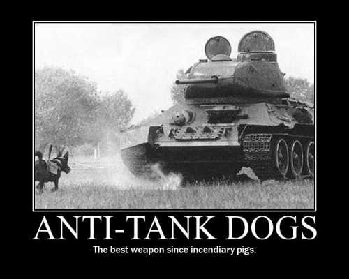 Poster fun - antitank dogs v. incendiary pigs.