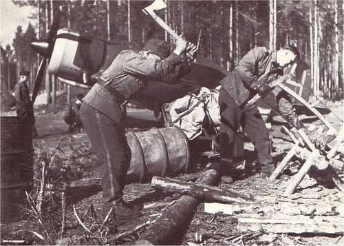 Chopping the wood