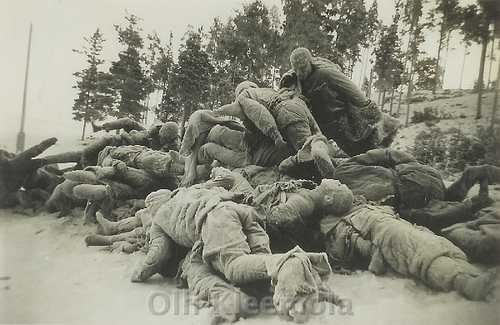 A sad harvest of war