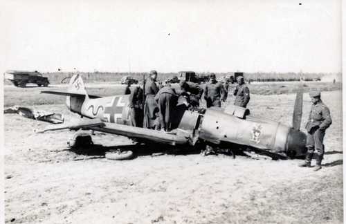 8./JG54