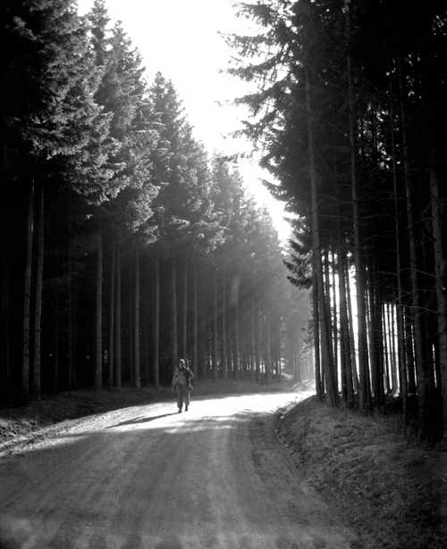 Rare Solitude During War
