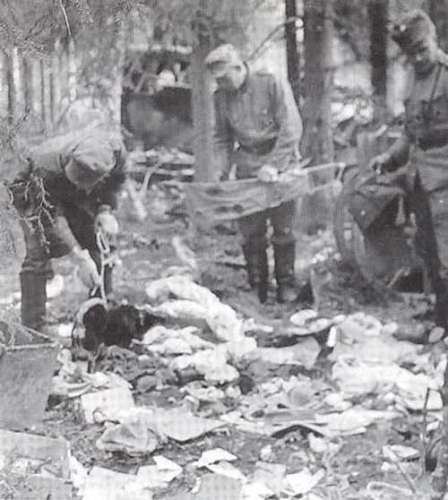 A wardog taken as POW. 