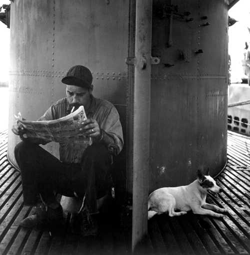 Sailor and Dog