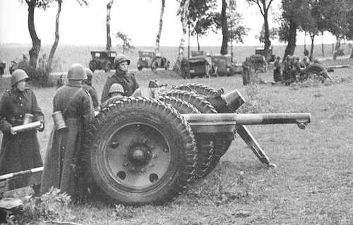 Polish 75 mm howitzers.