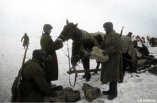 Battle For Stalingrad